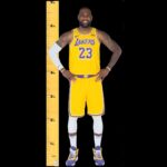 LEBRON LIFE SIZE CARDBOARD