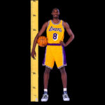 KOBE LIFE SIZE CARDBOARD