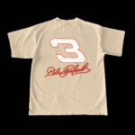 Dale Earnhardt - Image 3