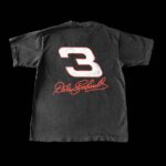 Dale Earnhardt - Image 4